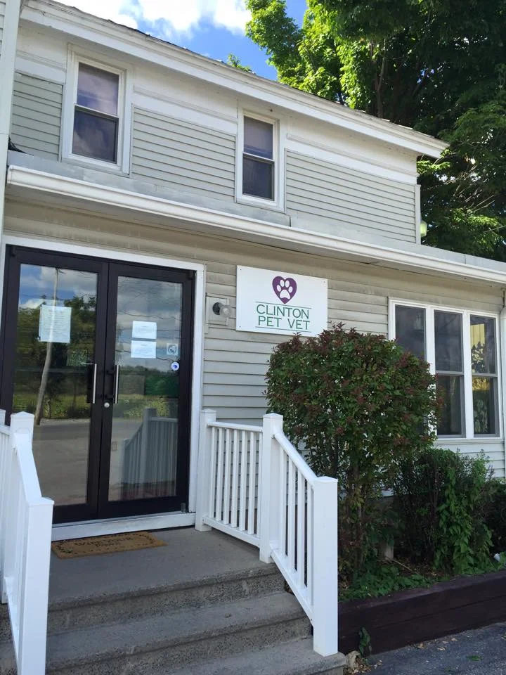 Clinton Pet Vet Storefront