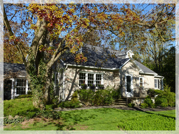 Amidst the Hedges Inn Storefront